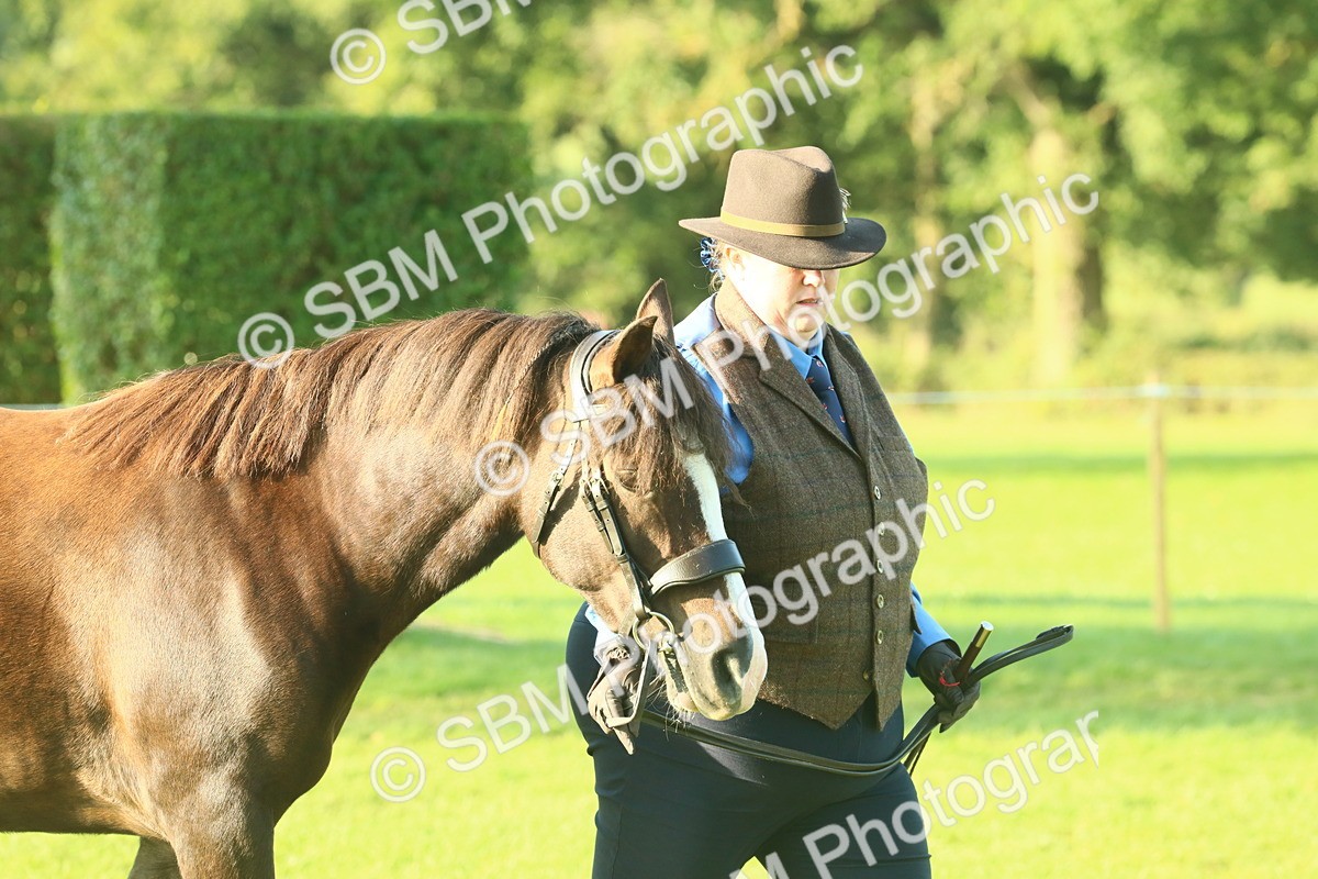SBM_58525 - S37 - Starters In Hand Showing