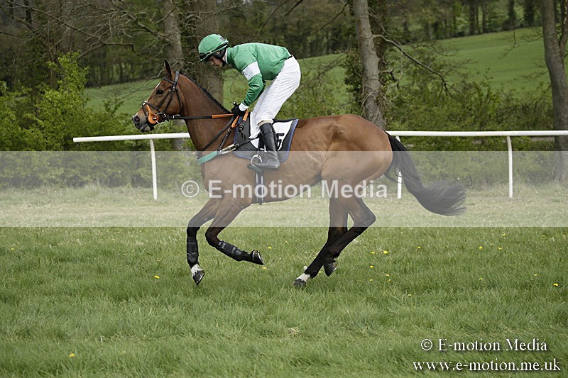 PtP 170417 138 - Old Berks Point-to-Point Lockinge 17/04/17