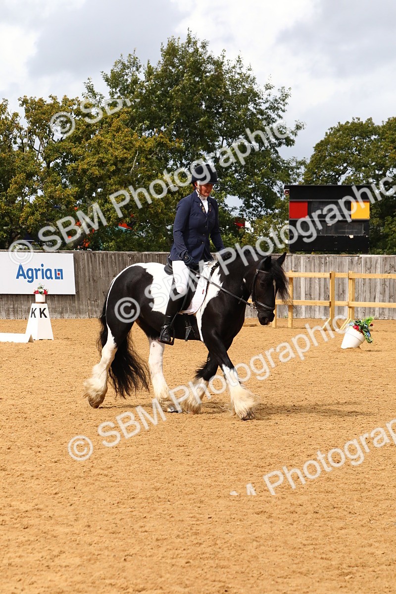 SBM_21007 - D5 - Small Tour Championshop Intro 2