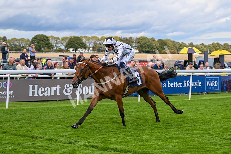 170925-Race 4-Dunkeld Dreamer-4911 - Race 4