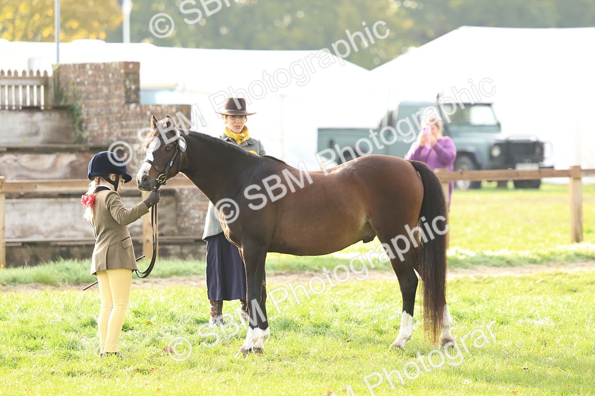 SBM_54869 - S39 - Starters In Hand Showing