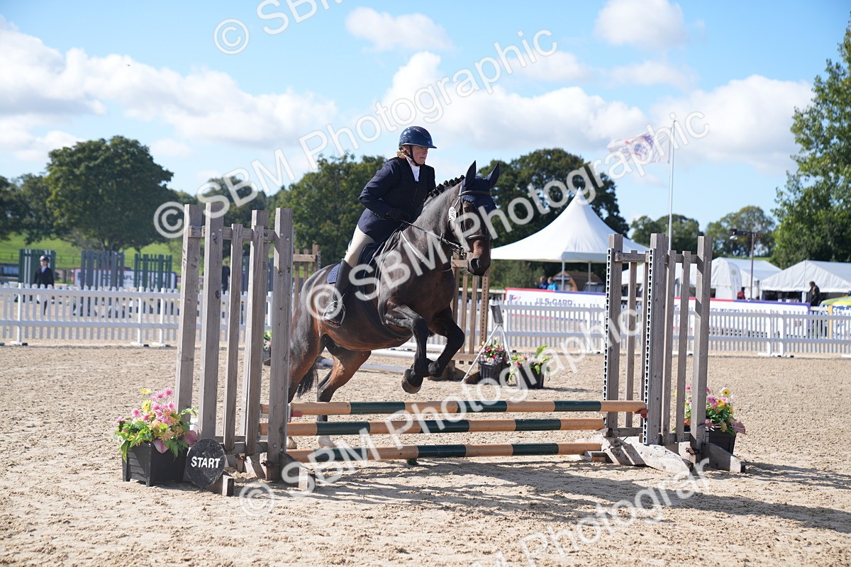 SBM_02402 - J54 Clear Round 45cm