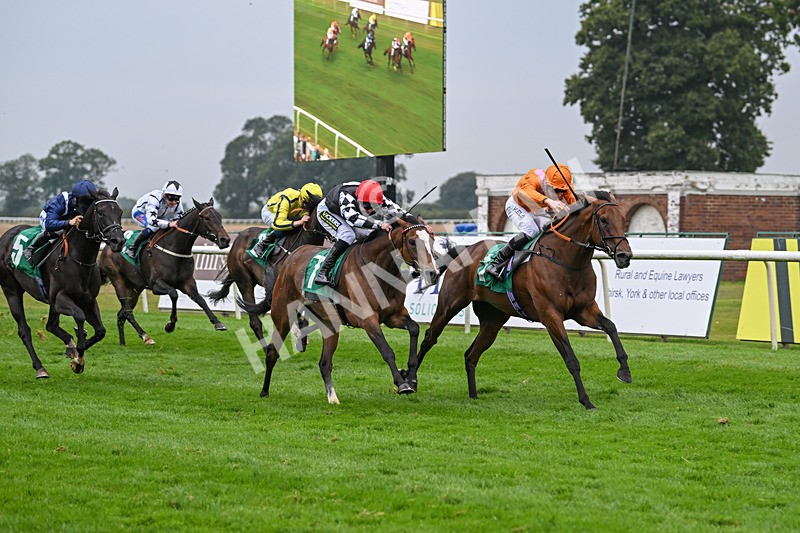 070924-Race 5-Rajindri-7696 - Race 5