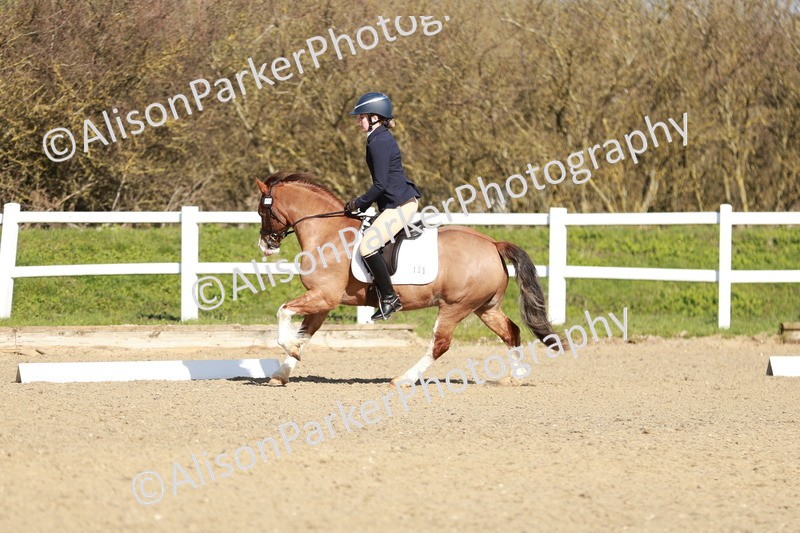 20260314-4299 - DR4 - Prelim 2