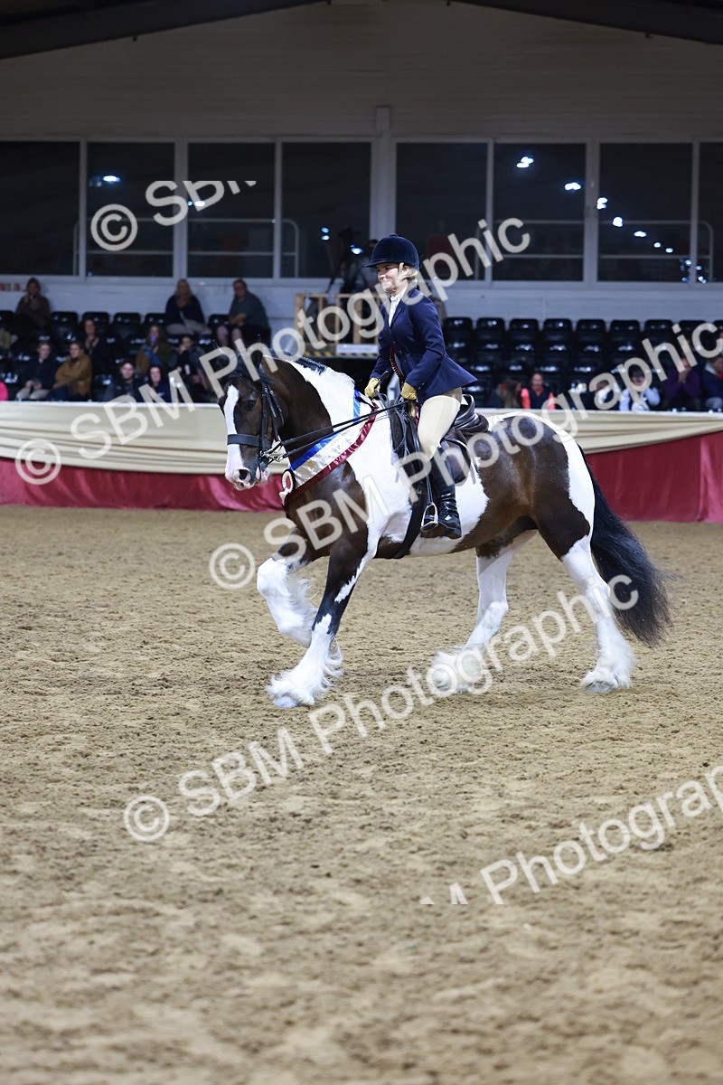 SBM_21314 - Class S - Style & Performance Champ