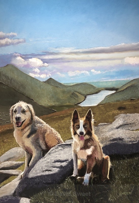 Two Dogs on Slieve Doan - Paintings