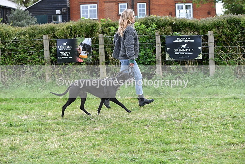 WJ5_9136 - Class 1 Best Cross Breed / Heniz 57