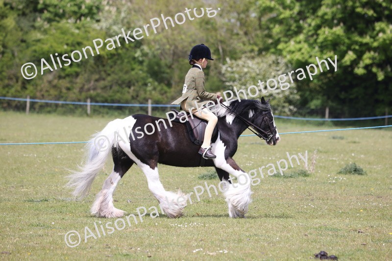 20260426-4034 - Class 33 - Best Pony 14.2hh and Under