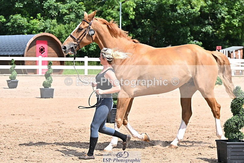 240718A-105251-01244 - Trot Up 12pm to 1pm