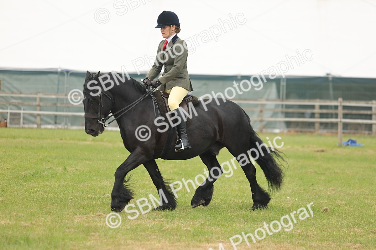 SBM_08962 - Class 78-80 - Ridden M&M Non Welsh Ponies