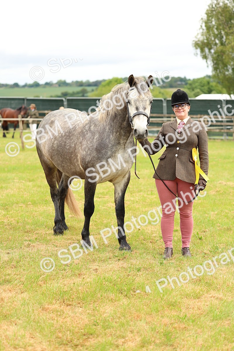 SBM_04134 - Class 64-67 - Shetland Pony In Hand