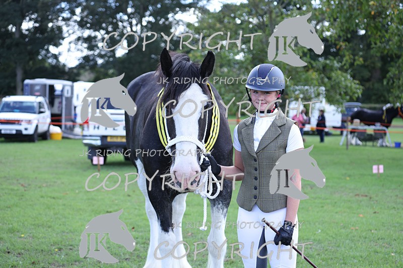 APP_3437 - Class 6 Young Handlers