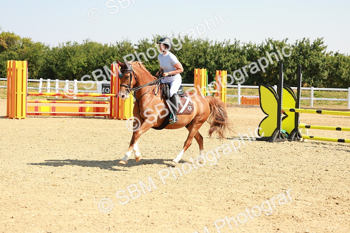 SBM_000038 - Class 2 - Senior British Novice - 90cm