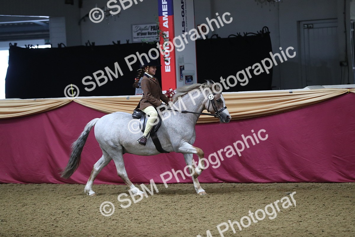 SBM_09272 - Class 101 Equitation (best rider), Junior
