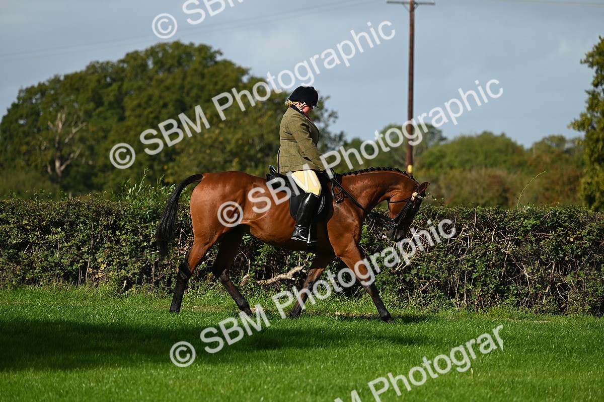 SBM_01266 - S2 - TSR Ridden Horse Showing