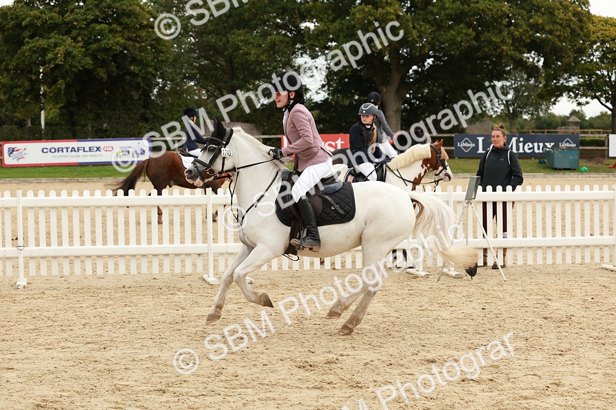 SBM_65365 - Supreme Championship 50cm & 55cm