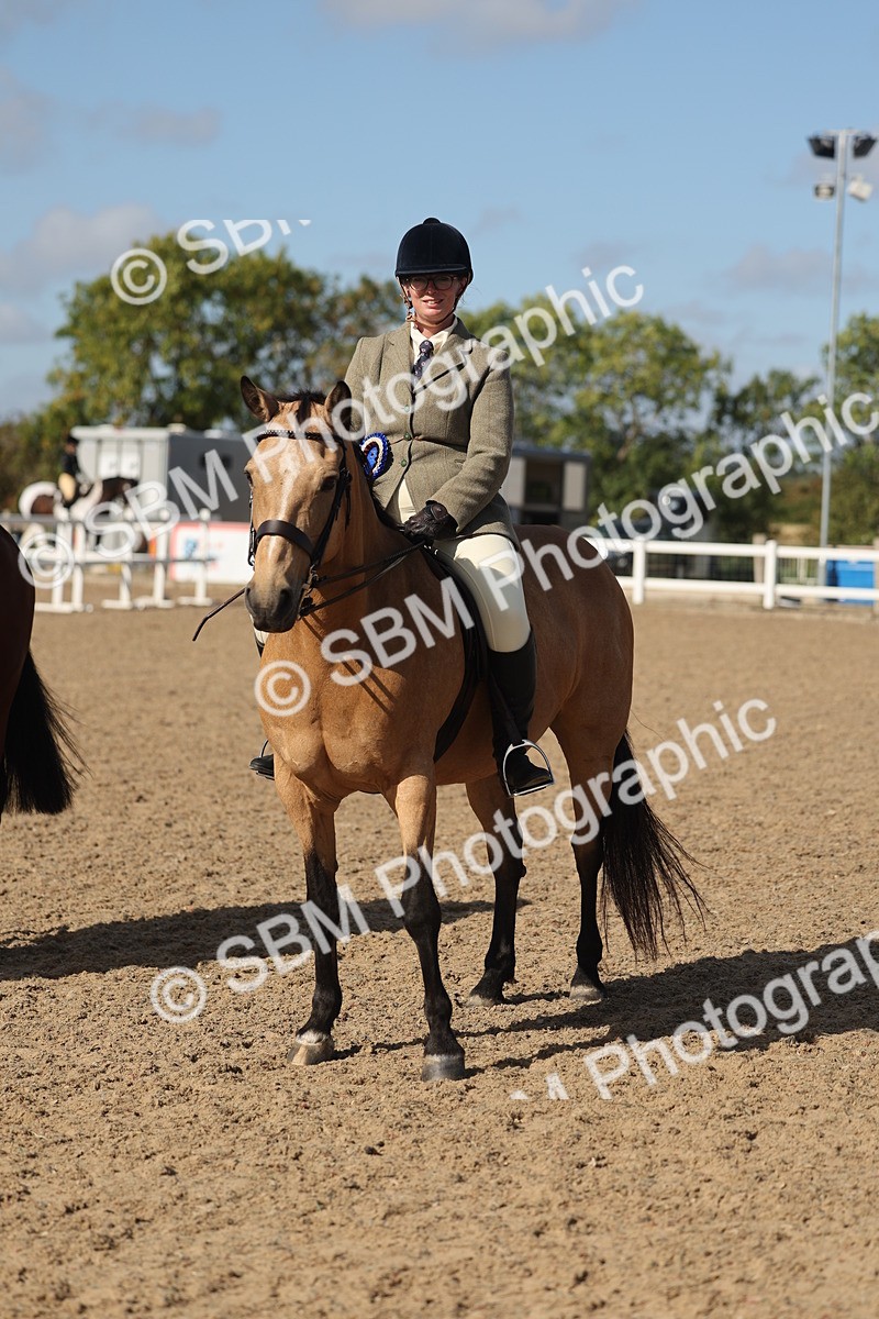 SBM_22639 - Class 804 - Ridden Veteran Pony