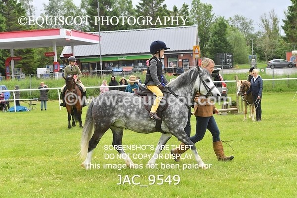 JAC_9549 - WORKERS CHAMPIONSHIP