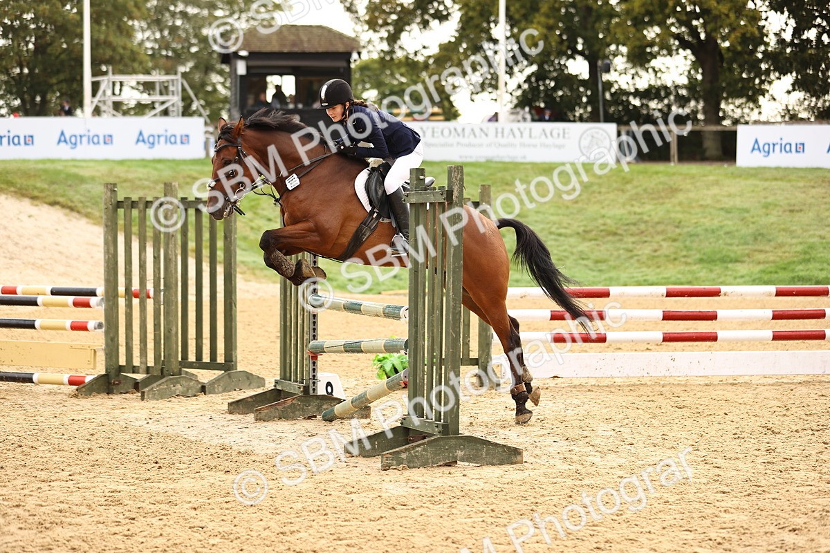 SBM_58199 - J41 - Grand Tour Horse & Pony 95cm