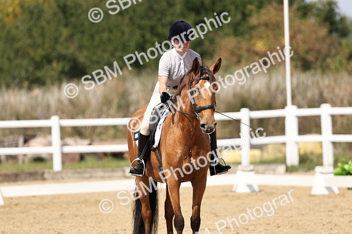 SBM_018655 - Class 16 - Novice 5 - 12.08-13.11