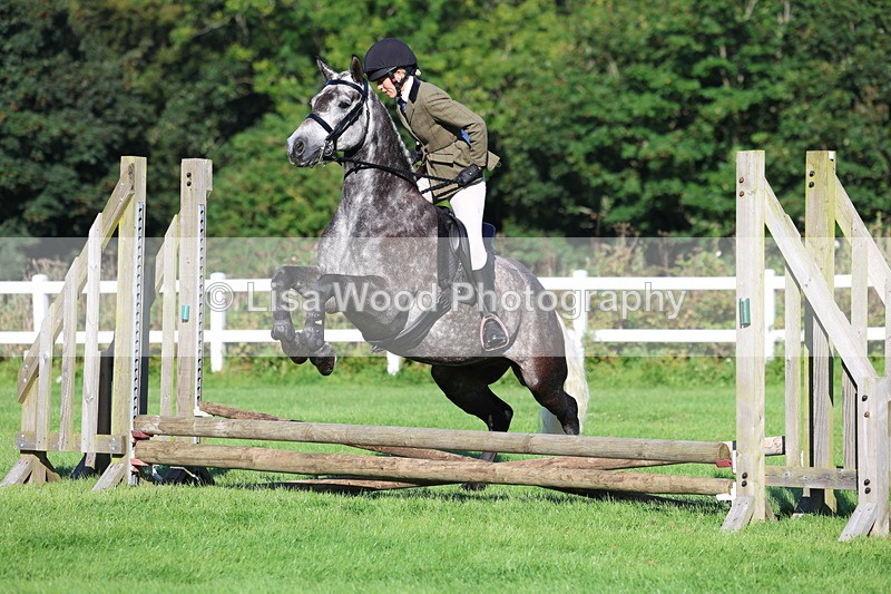 3E7A7532 - Class 1: Novice Working Hunter Pony