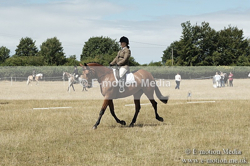 _PJP5830 - Dressage Classes BVRC Show 2018