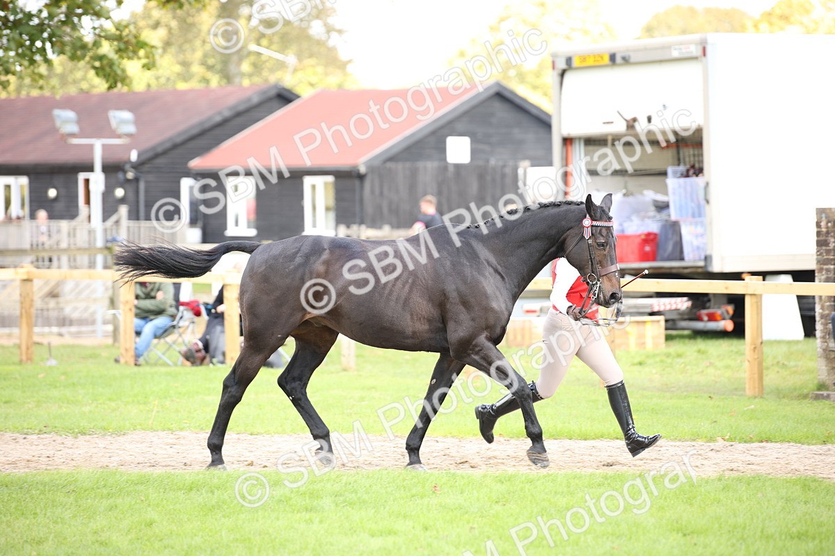 SBM_44370 - S24 - Young Veteran in hand