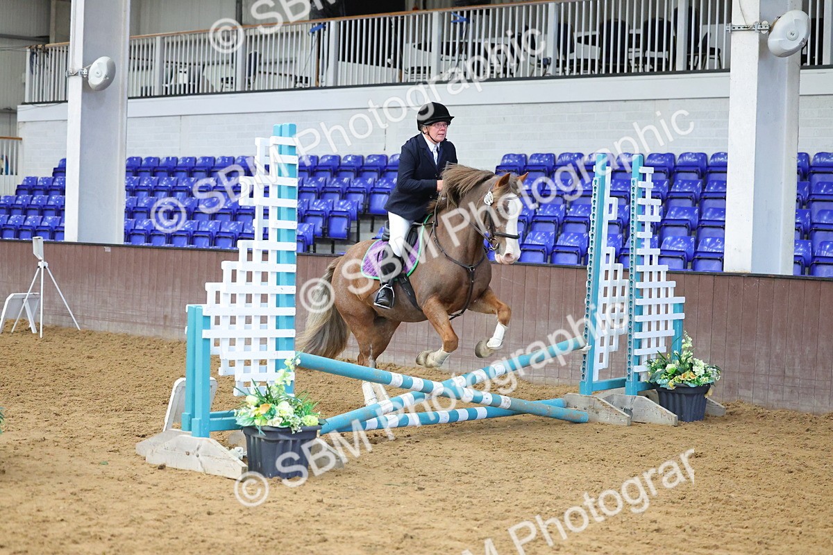 SBM_000379 - Class 5 - 50cm - BRC Championships