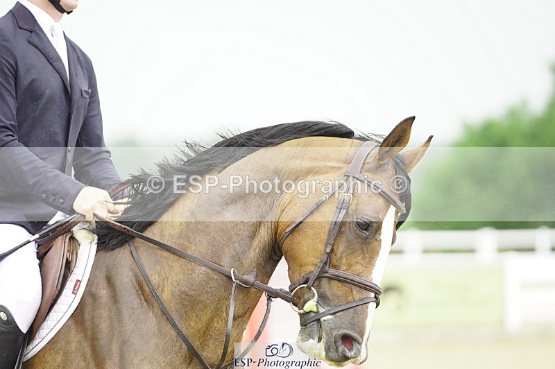 230729A-100942-04579 - Cls 20 British Novice & 90cm Open