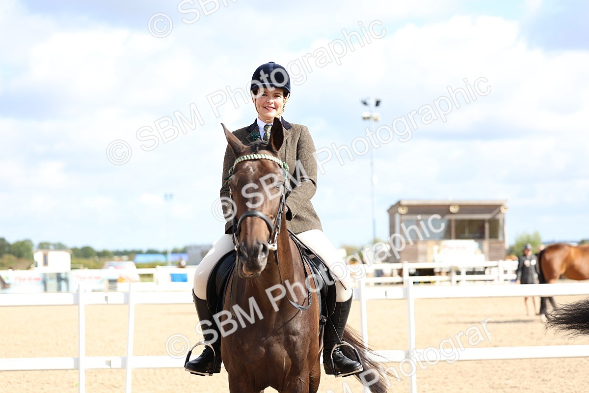 SBM_10781 - Class 305 - Ridden Foreign Breeds - Pure Bred