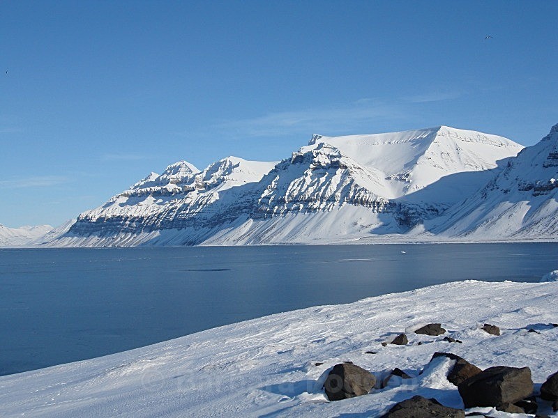 Gipsvika 02063 - Winter in the daylight