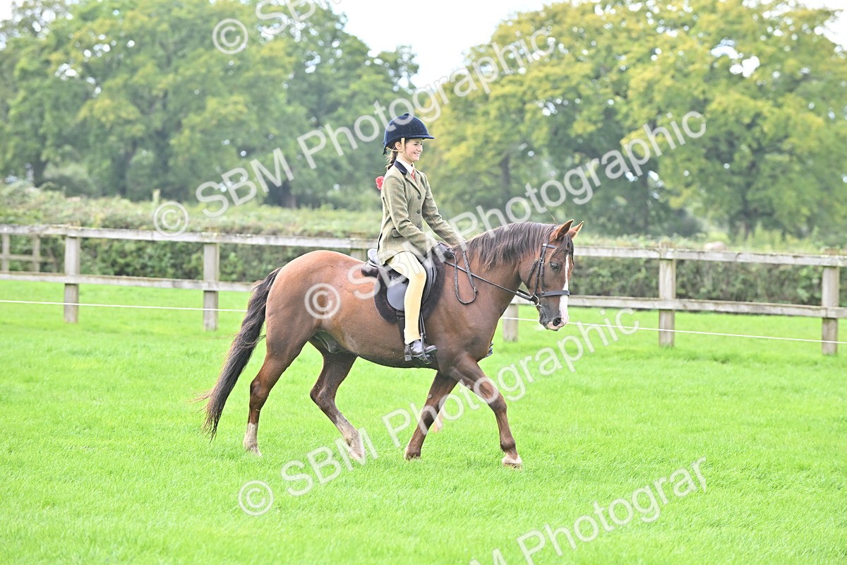 SBM_44465 - S13 - Pony Club Pony