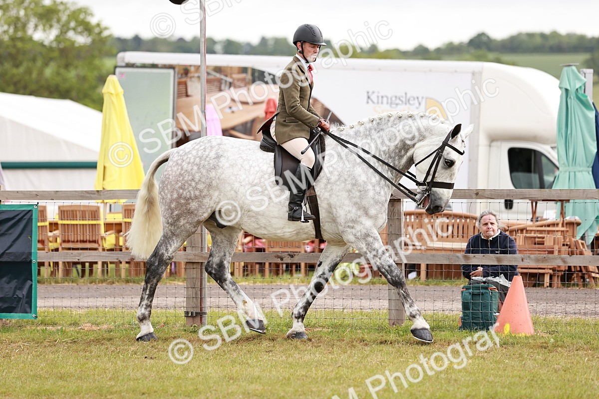 SBM_10906 - Class 81-84 - RIHS Ridden hunters Inc Ladies Hunter