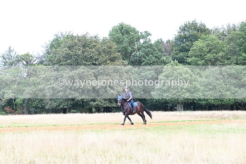 DSC_8707 - Time at Statue 13:52 to 14:33