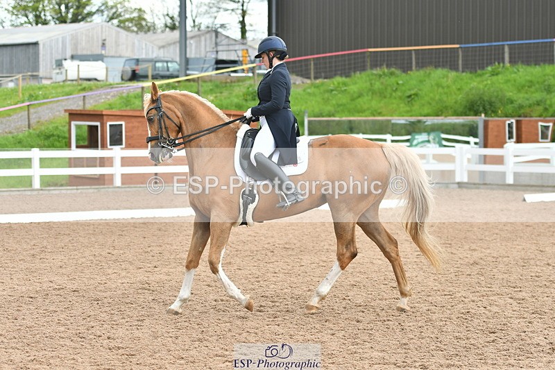 230511A-160456-01290 - BD Cls 18 FEI PSG