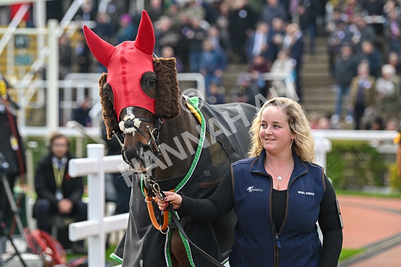 161124-Race 1-Paddock-Torrent-9107 - Race 1