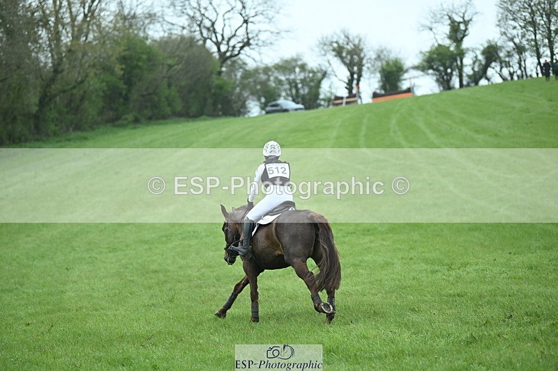 250419-114011-08901 - 512-Lamorna.May-THEODORA
