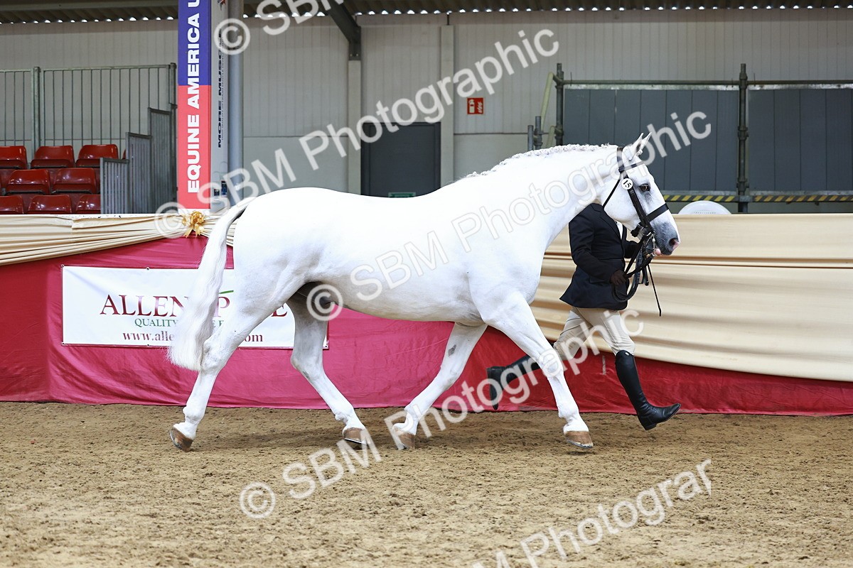 SBM_23190 - Class 903 - Supreme Final - IH Pre Vet