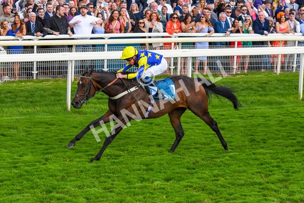 260823-Race 7-Astro King-1075 - Race 7 Sky Bet Finale Handicap at York