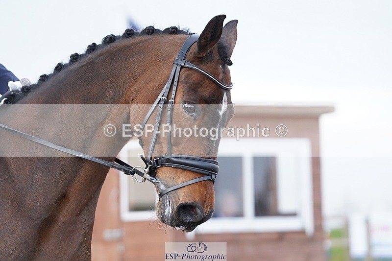 250403-093712-00180 - 013-Chloe.Dawes-Danibelle.Delicious