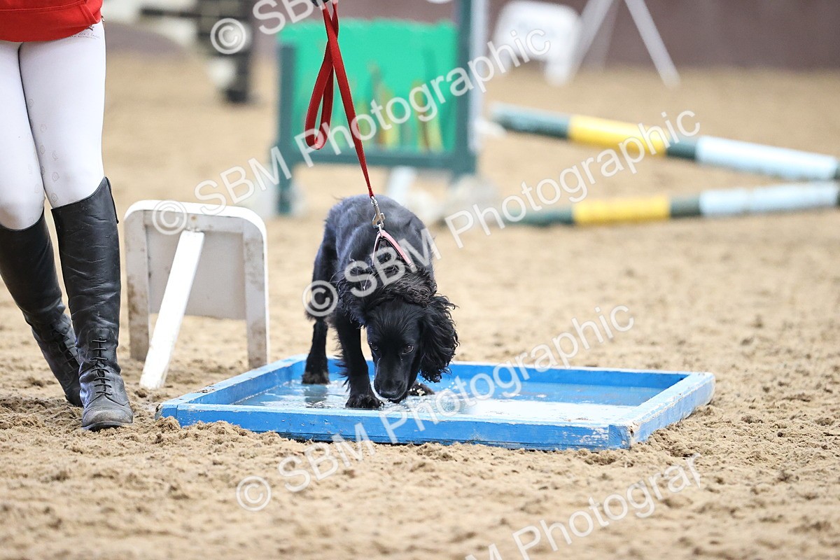 SBM_001459 - Class 3 - Horse & Hound 60cm