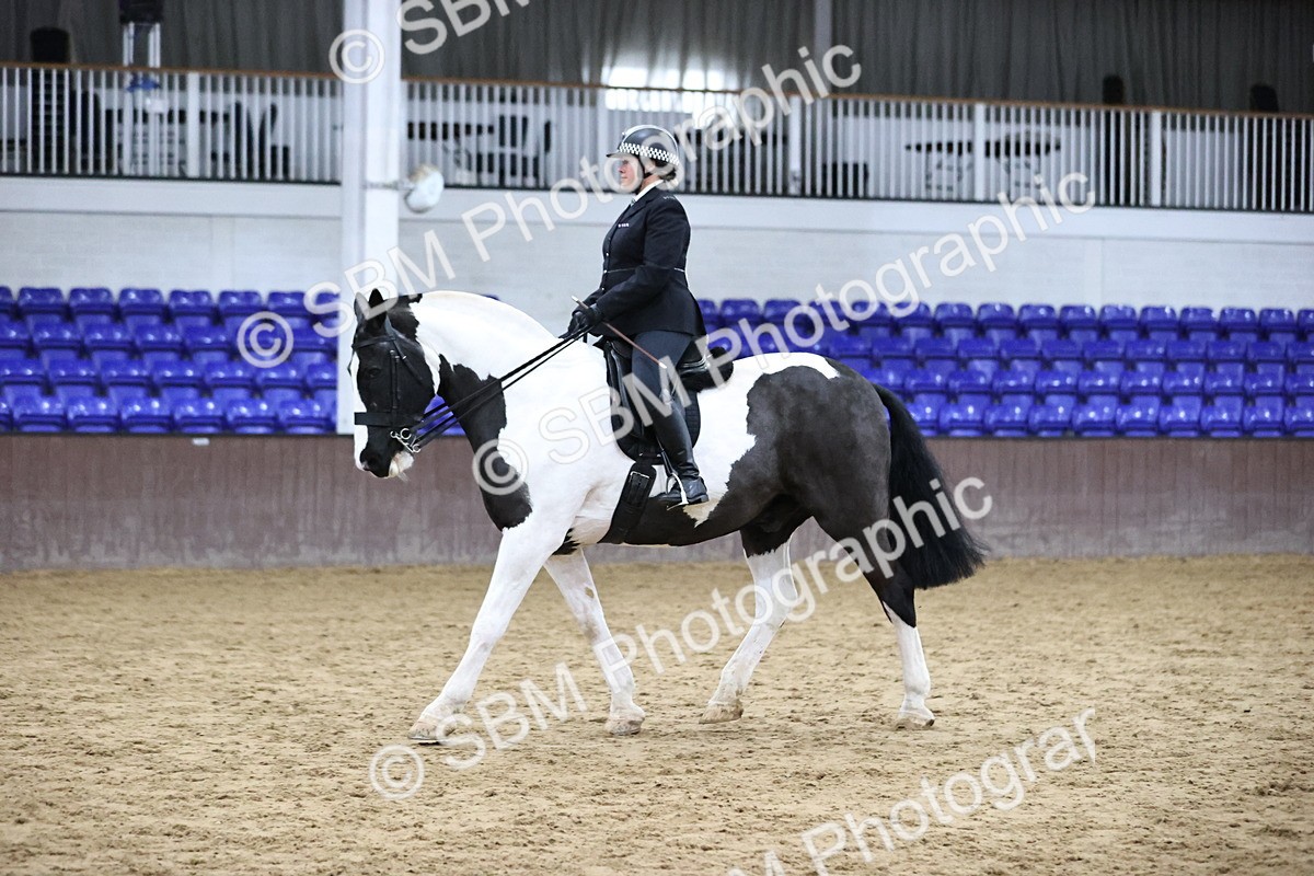 SBM_6365 - Class 45-42 - Ridden Irish Breeds-Ridden Cob