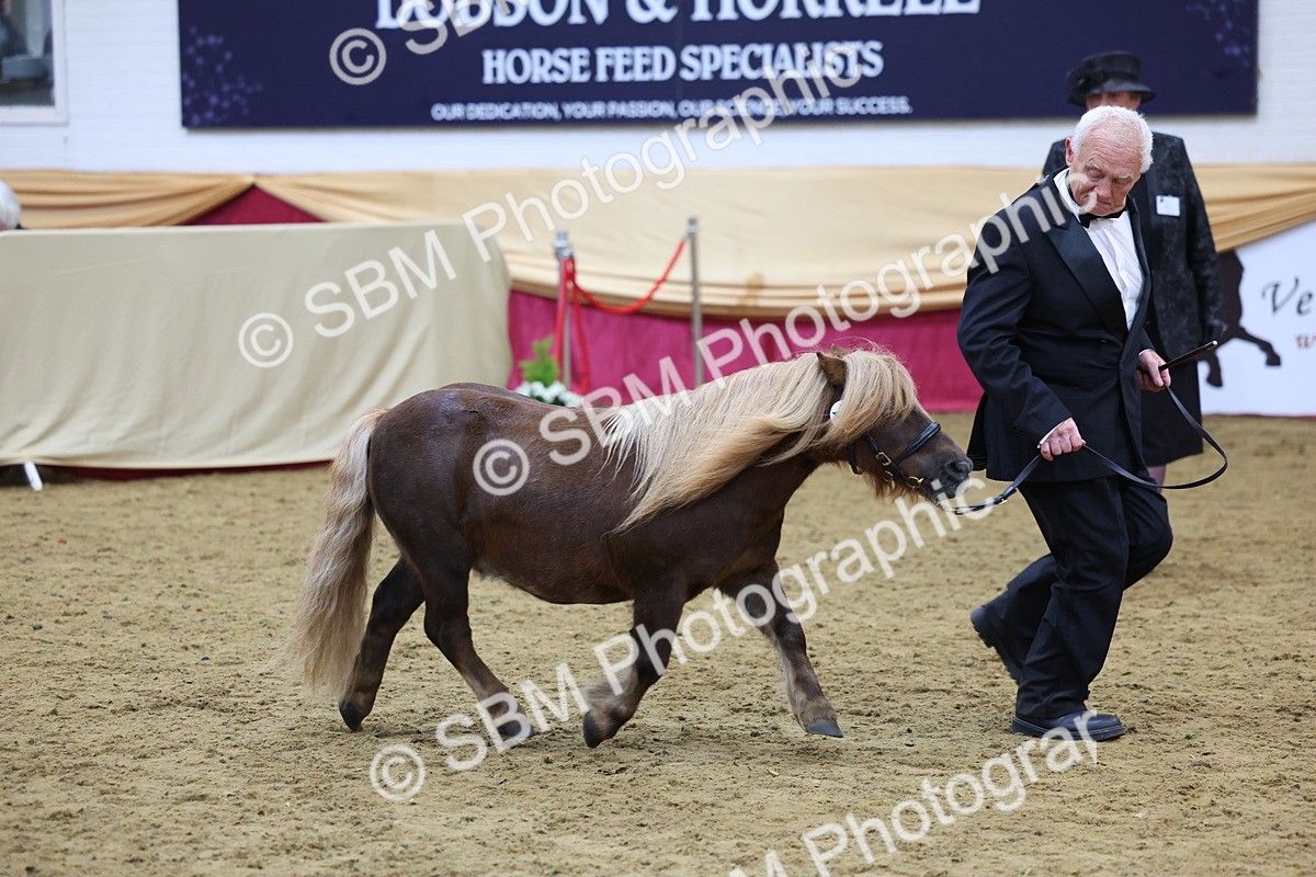 SBM_20918 - Class 902 - Supreme Final IH Veteran