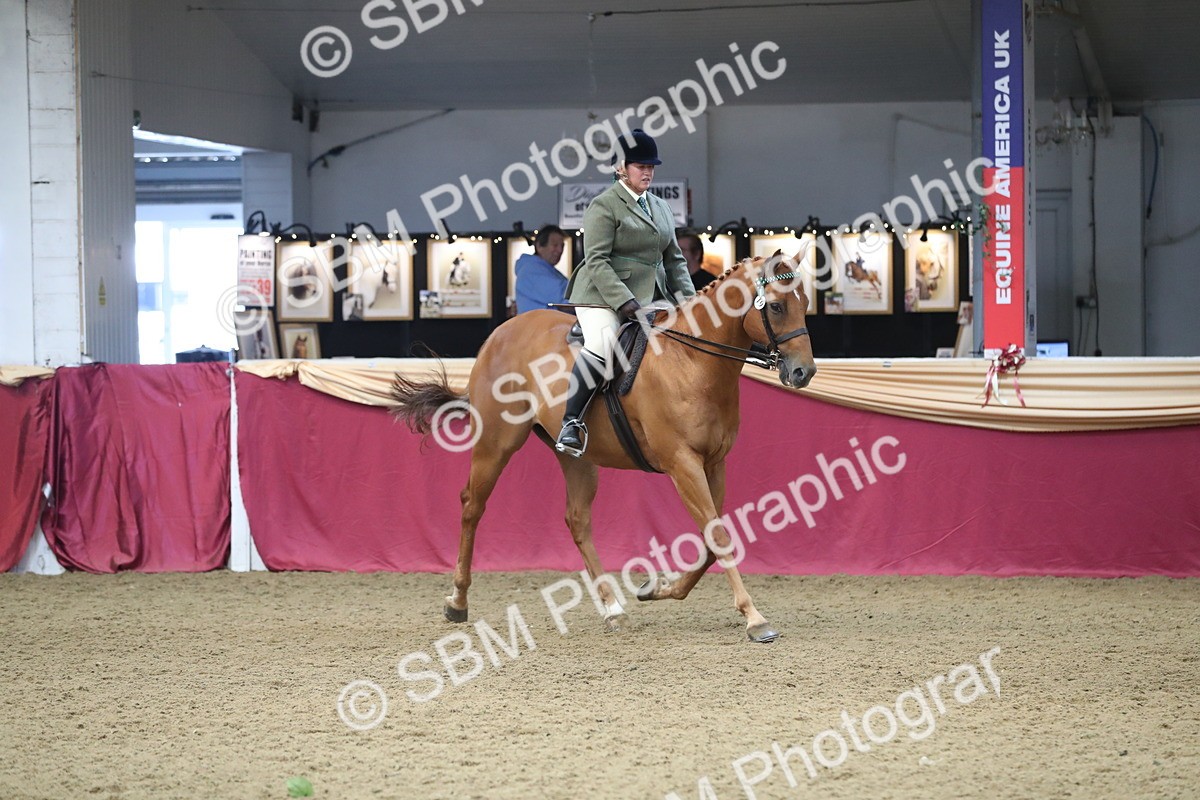 SBM_12367 - Class 108 Ridden Retired Racehorse- Pre Judging