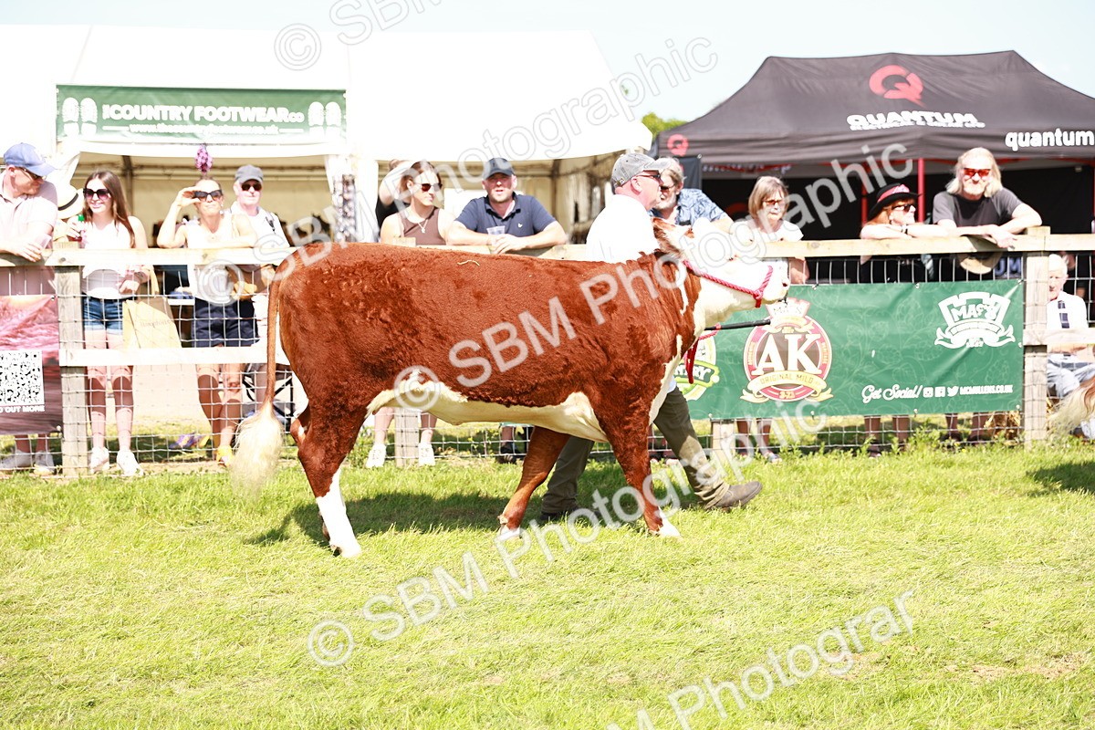 SBM_08380 - Grand Parade
