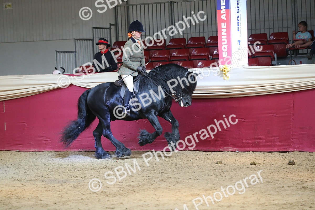 SBM_08308 - Class 11R Regional Ridden Veteran