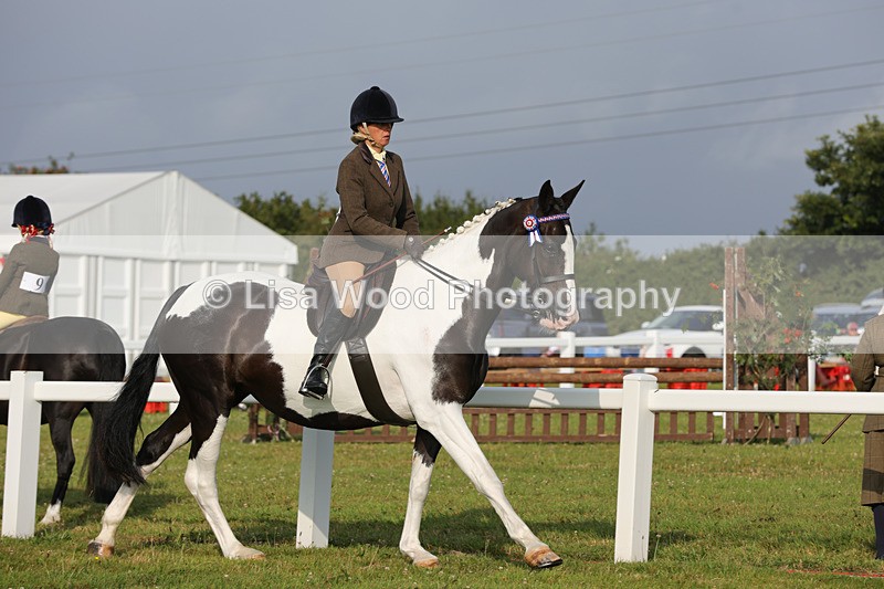1X9A2861 - Class 25: Ridden Plaited Coloured Horse