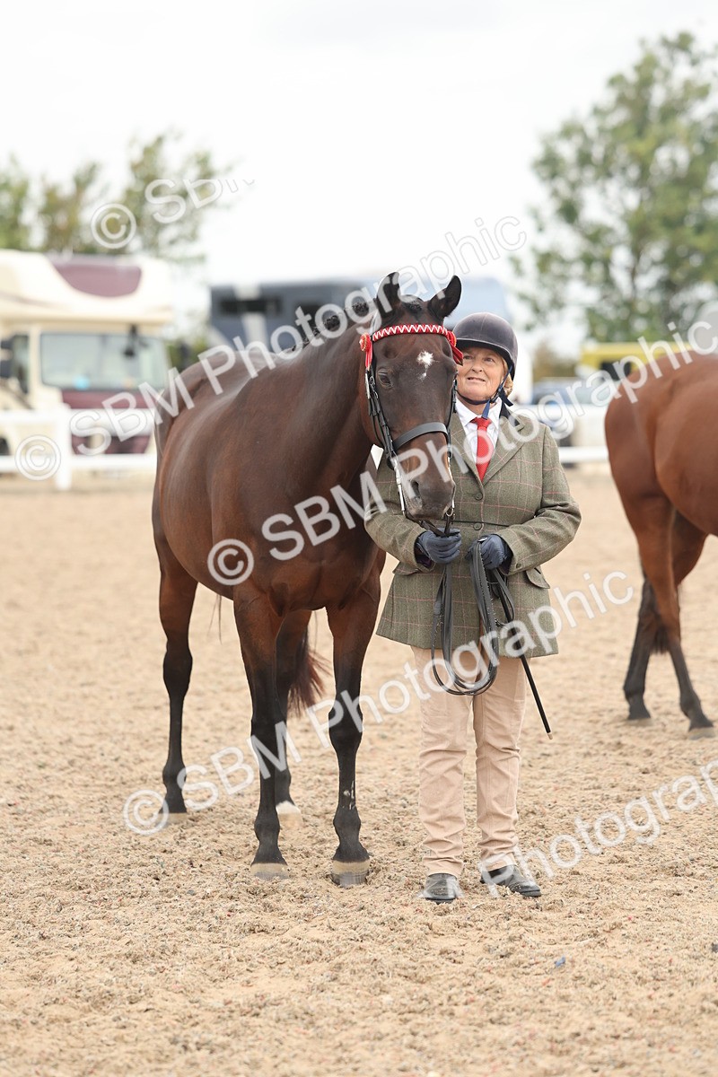 SBM_19875 - Class 318 - IH Part Bred Horse-Pony