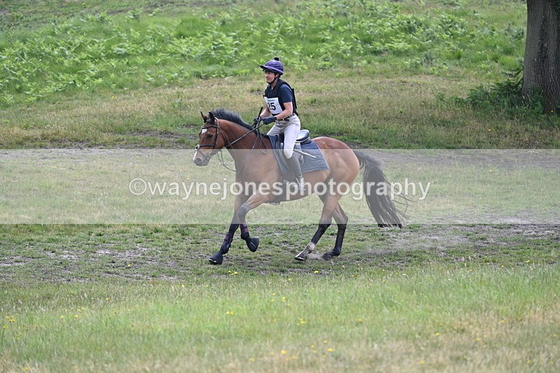 WJ7_9759 - Time 12:15 to 12:44