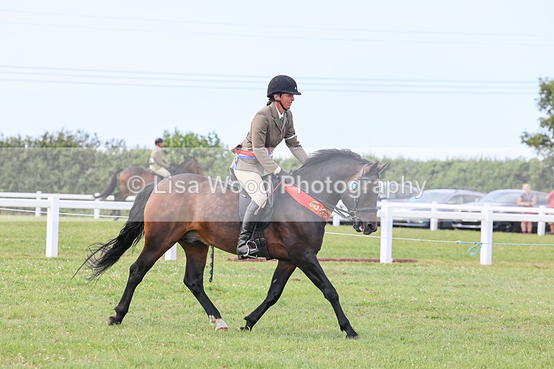 IMG_3760 - M & M Ridden Championship